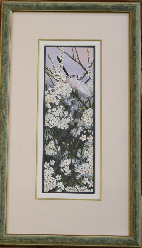 Terence Lambert (1951-) Long tailed tit perched amongst blossom 11 x 3.75in.